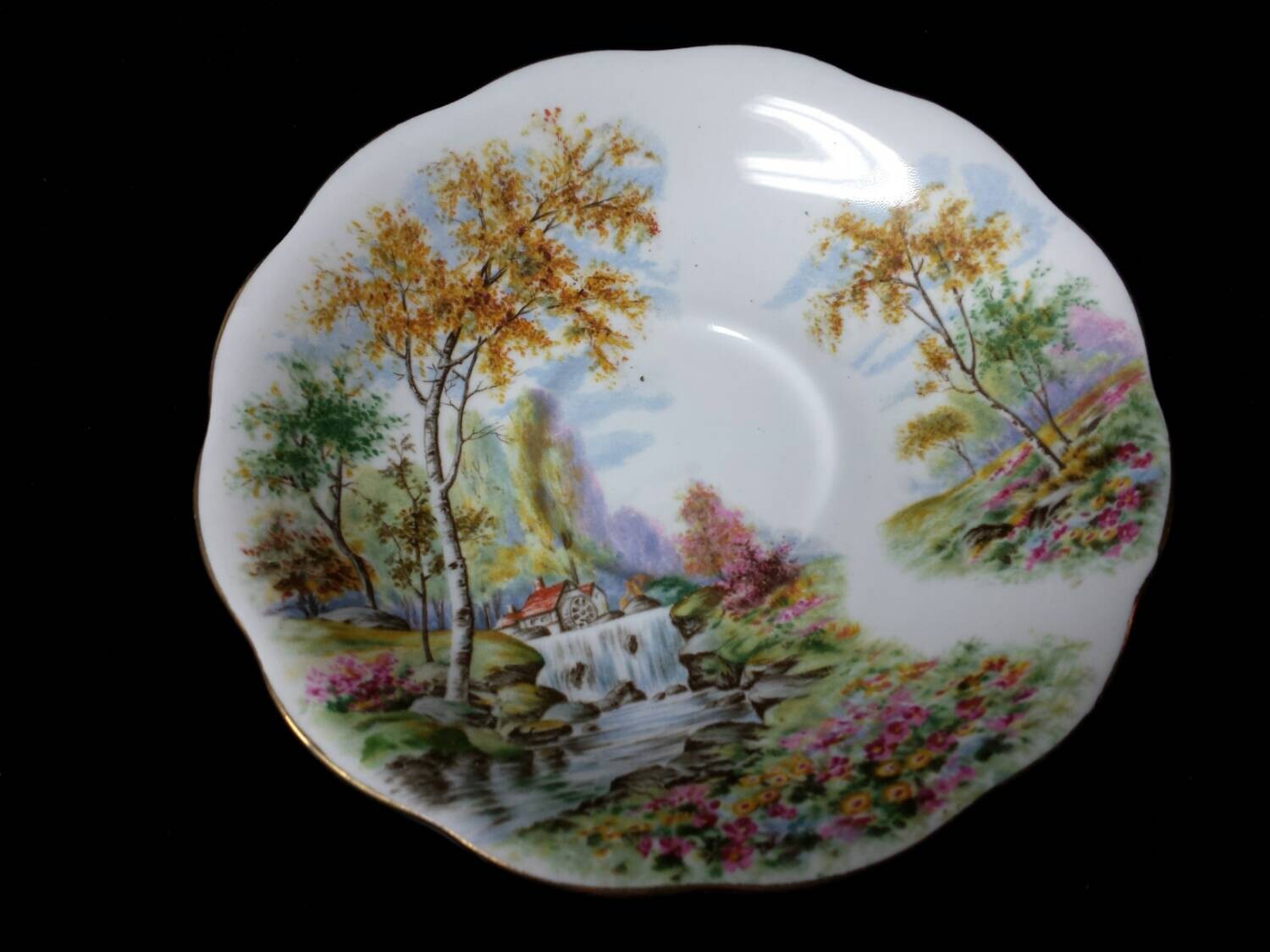 Royal Standard Fine Bone China Made in England by Cupsofthepast