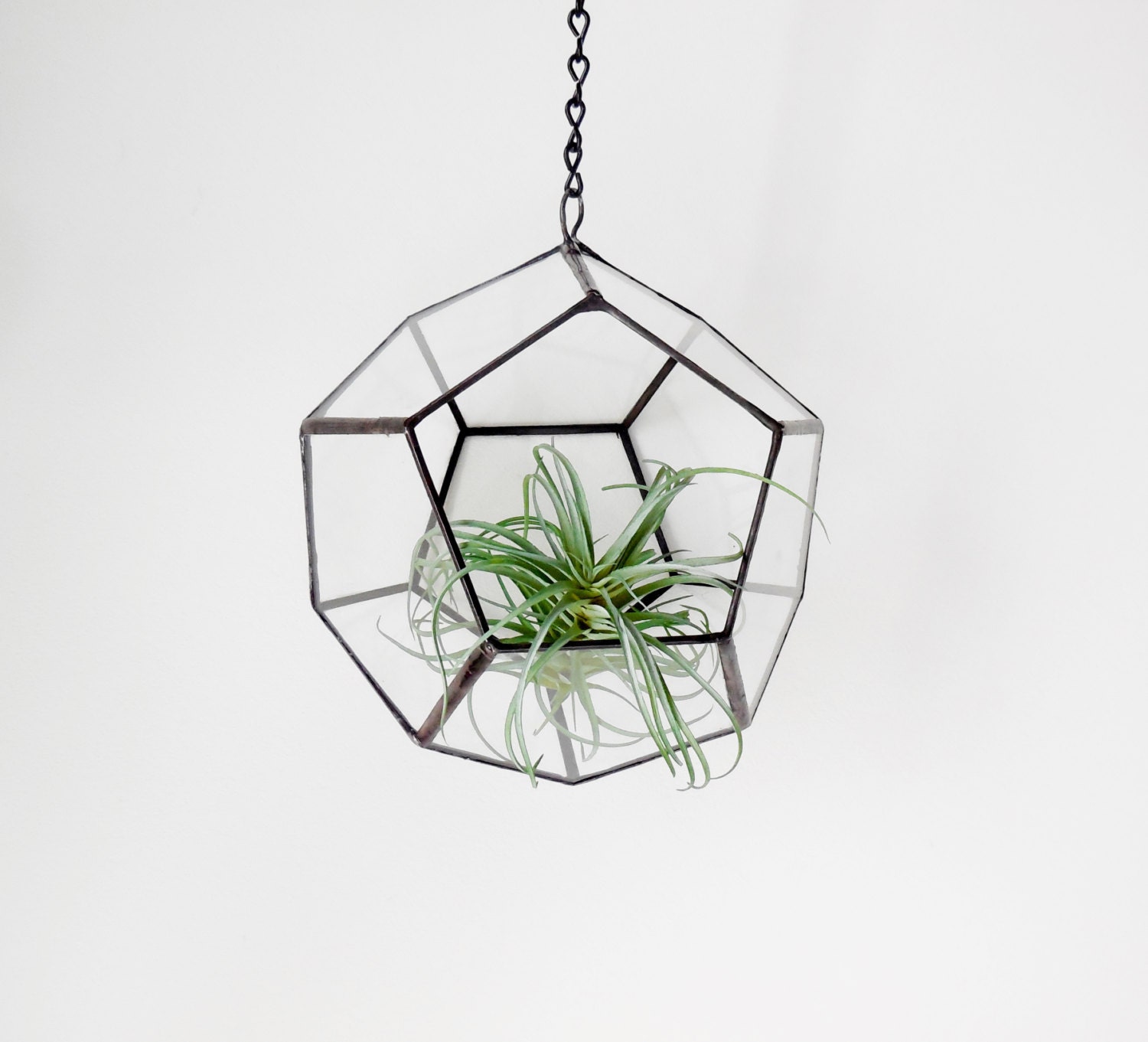 Large Hanging Terrarium Modern industrial geometric planter