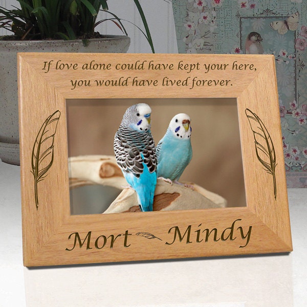 frame for birds if love alone personalized pet memorial frame for birds if love alone personalized pet memorial