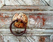 Fine art print photography : Rusted door knocker on grey door, Greece. Fine art print photography : Rusted door knocker on grey door, Greece.