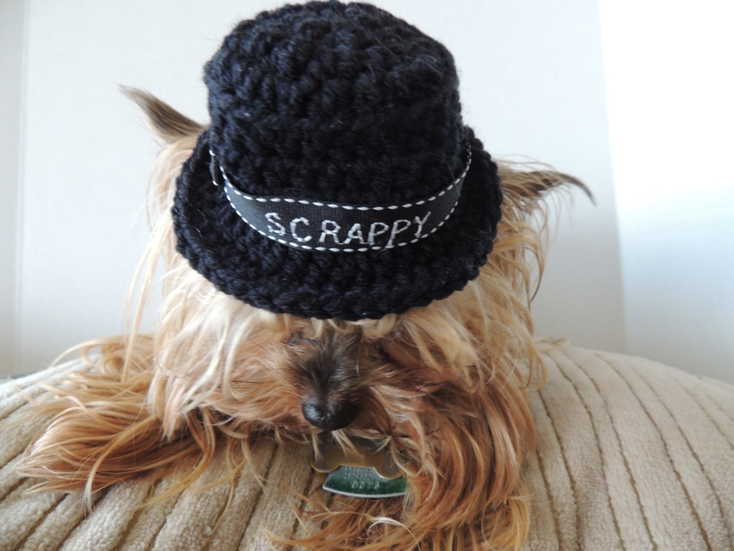 Personalized Top hat Dog hat Cat hat Top hat by Whoodoyoulove