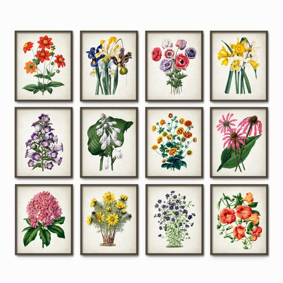 Flower Art Print Set of 12 Vintage Botanical Home Decor