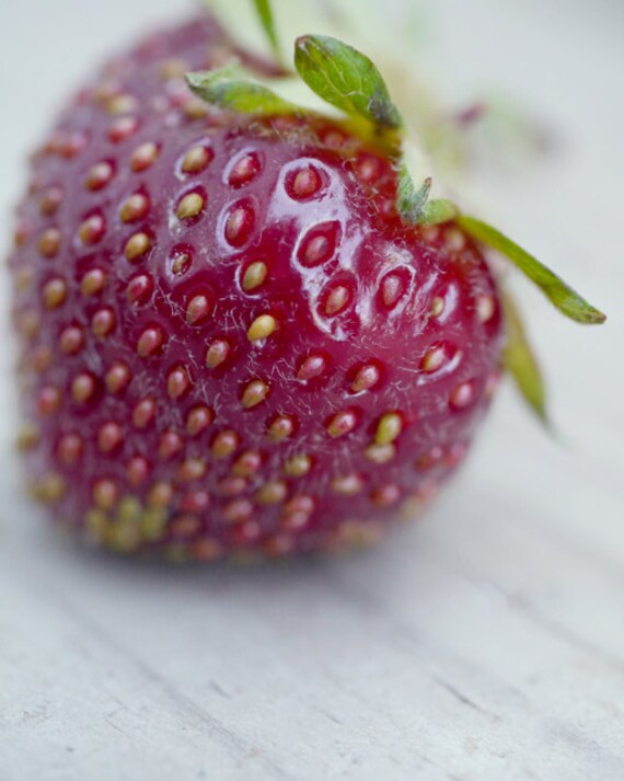 Red fruit photography  strawberry abstract  food  by 