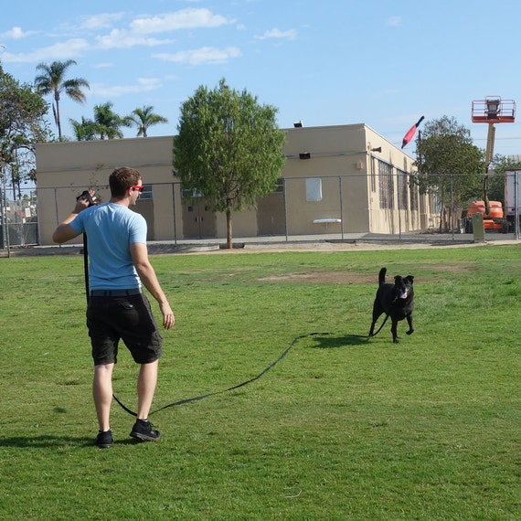 30 Ft Dog Leash for Training & Play 1 Nylon Free by Leashboss