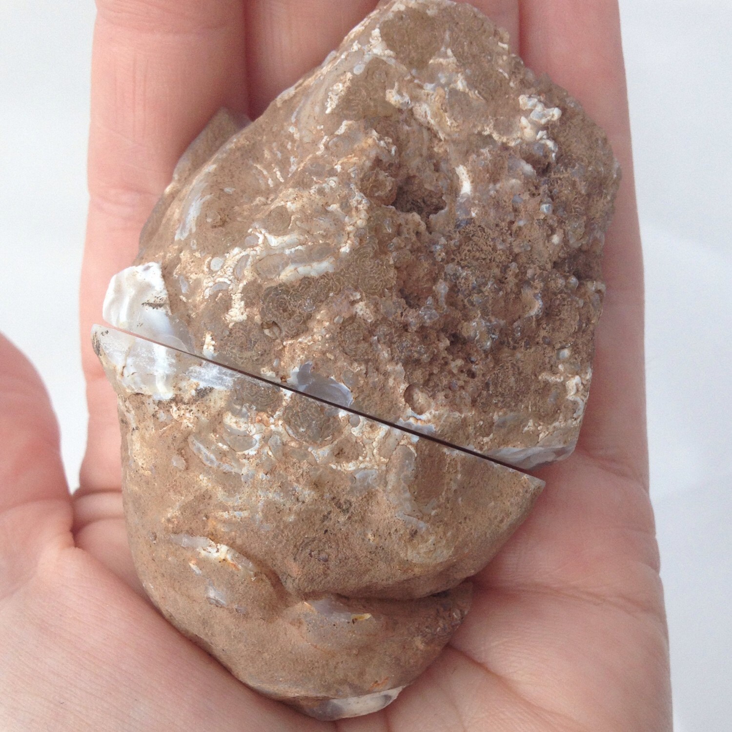 Water Agate Geode / Enhydro Agate Crystal by CrystalSensation