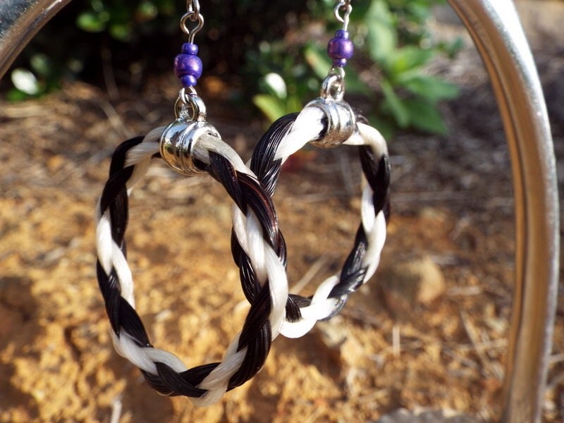 Horse Hair Earrings Cheyenne Design