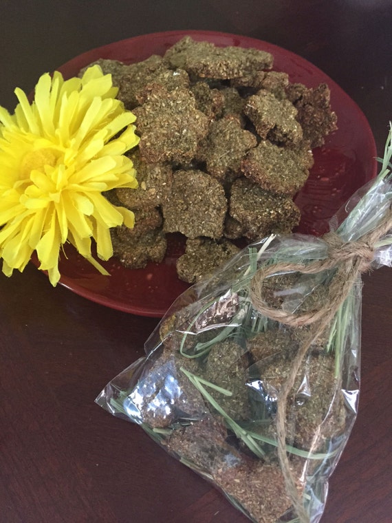 Organic Homemade Treats for Bunny Guinea Pig or by TrixiezTreatz