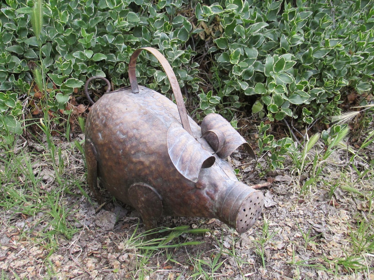 Splendid LARGE Vintage Rustic Metal PIG Watering by BeyondTheDoor