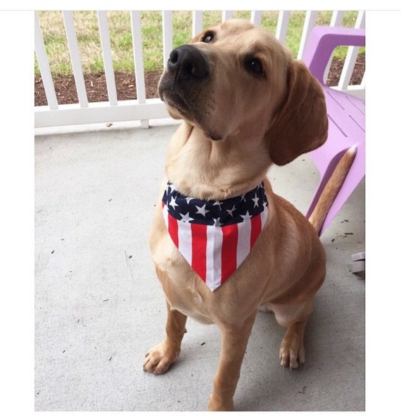 Medium American Flag Slip On Dog Bandana Over by MyFabulousPuppy