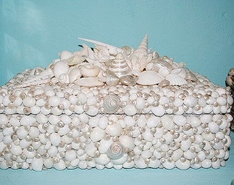 Sea Shell Encrusted Wine Box....inspired by VIZCAYA MUSEUM GARDENS Grottoes