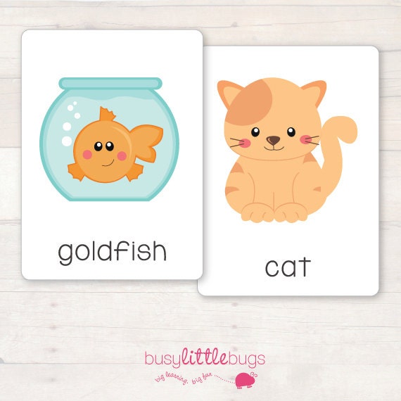 My Pets Flash Cards AUTOMATIC DOWNLOAD by BUSYLITTLEBUGSshop