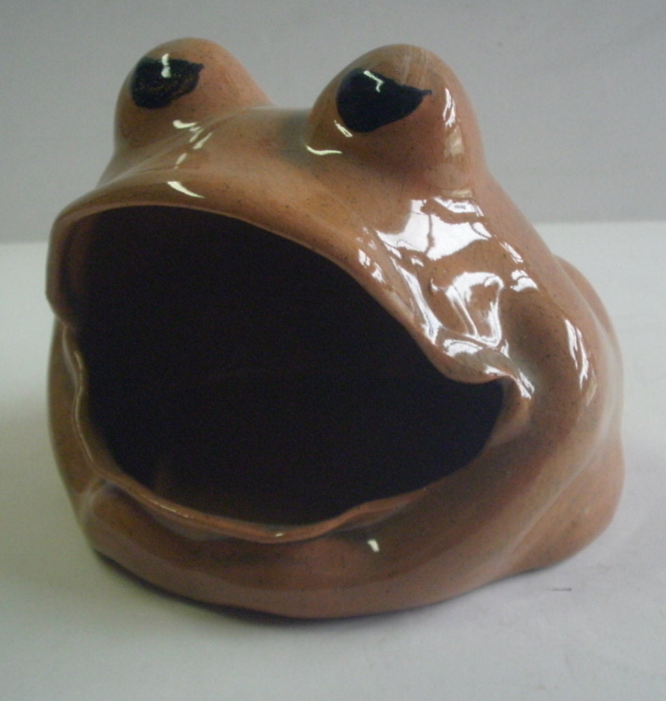 Ceramic Brown Big mouth frog soap dish by MapleHillCeramics