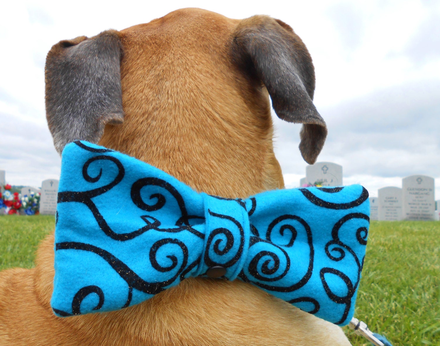 Big dog bows large blue bowtie bow tie fits on dog's