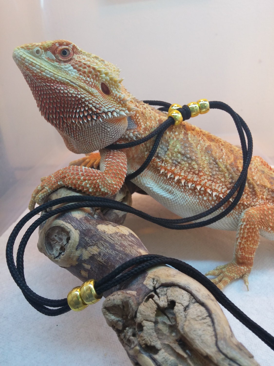 Reptile Harness one-size-fits-all Gold