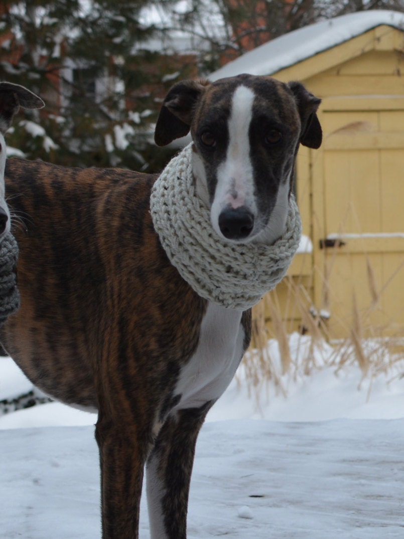 Whippet Clothing Knit Dog Cowl Whippet Cowl Dog by RockingPony