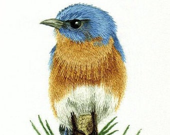 Hand Embroidery Kit - Eastern Blue Bird on Pine Branch Needle Painting Embroidery - Embroidery Art Picture