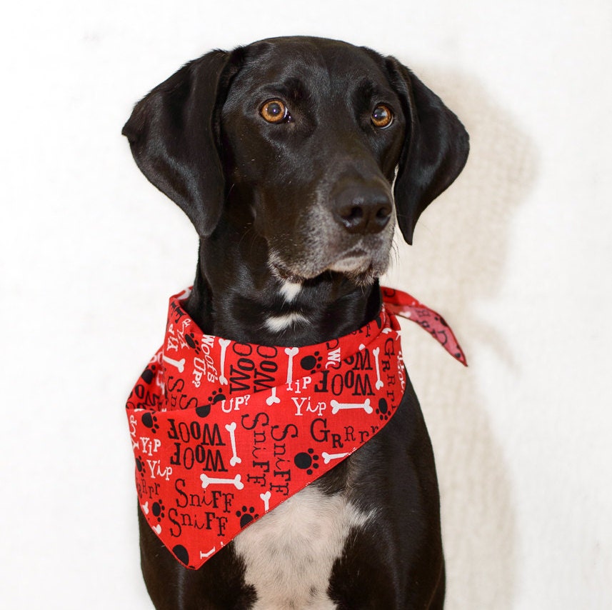 Dog Bandana I Speak Dog Size XLarge