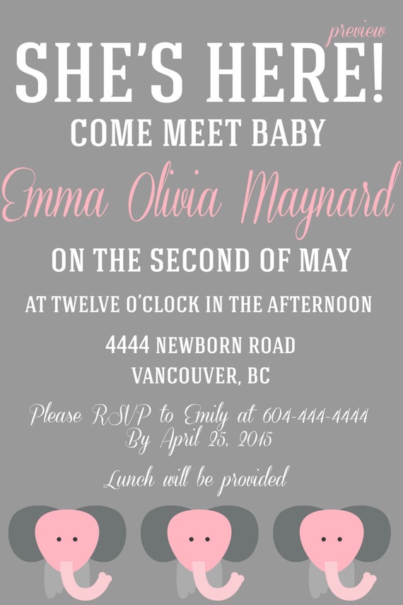 Baby Meet And Greet Invitation 3