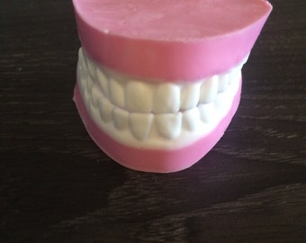 Teeth denture false teeth soap set in clear gift box great gag gift for Hallowen or just a joke