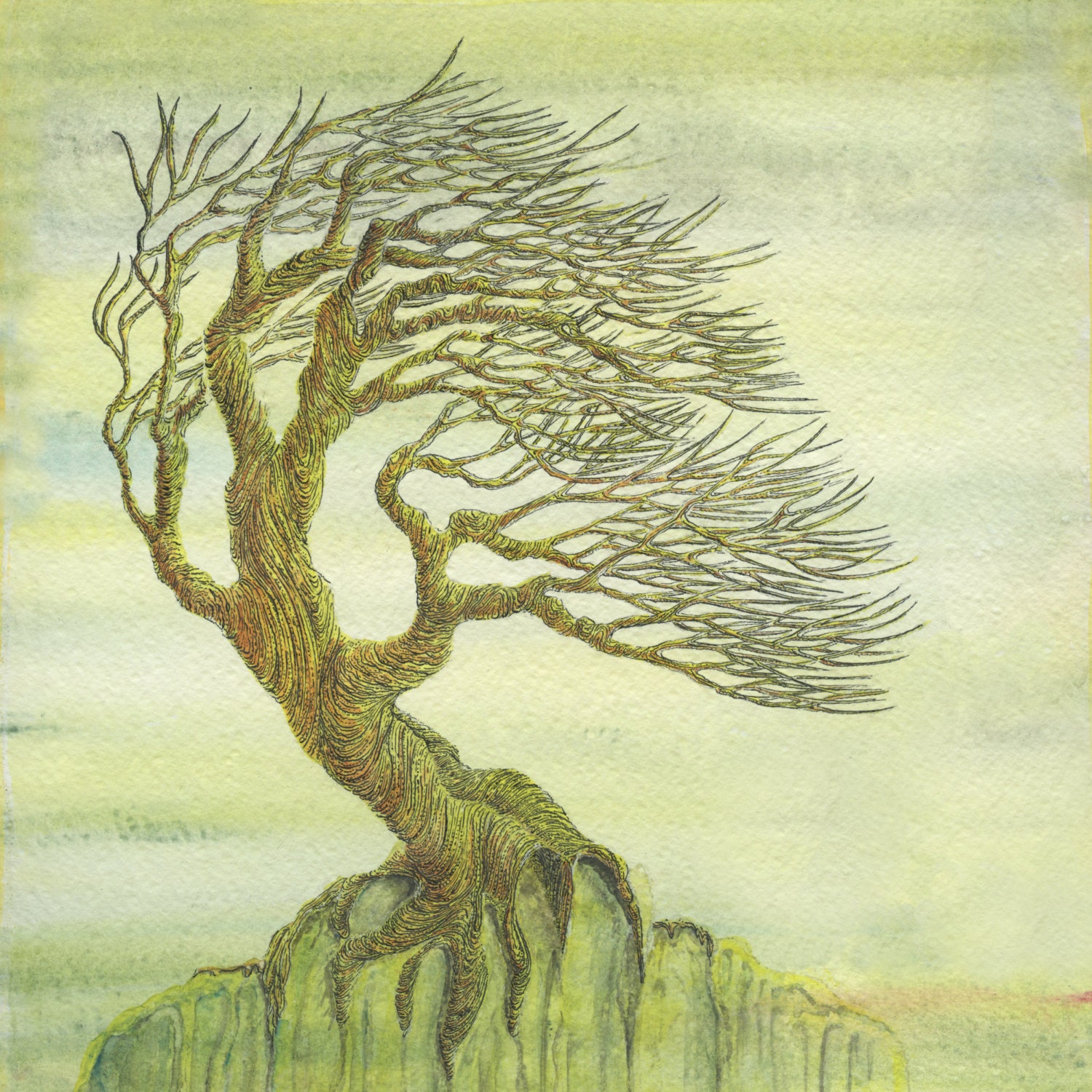 My Image 42