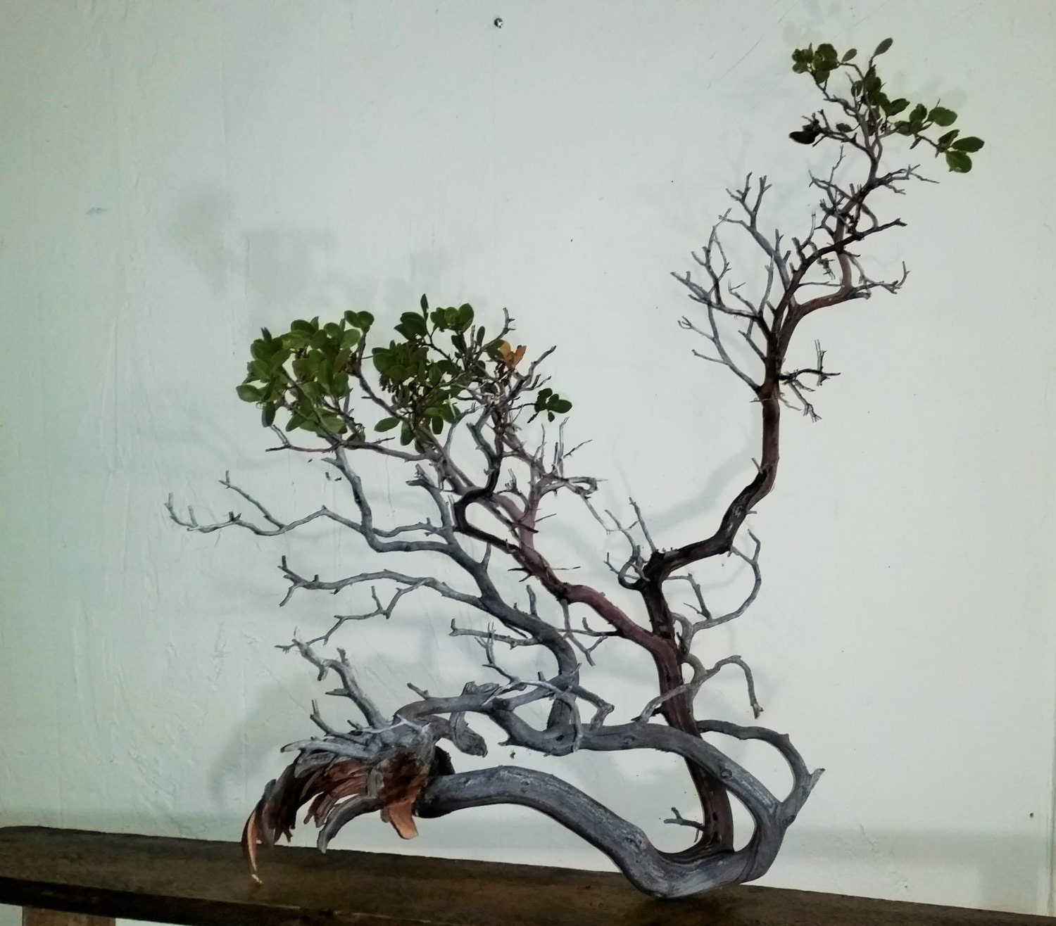 Chandeliers & Pendant Lights