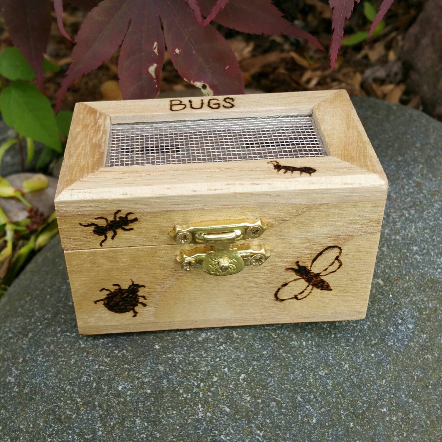 Wood Bug Catcher Box Free Shipping Storewide Wood by IndigoSpoons
