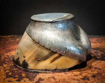 British Rowland Ward Taxidermy Horse Hoof with Sterling Silver Snuffbox