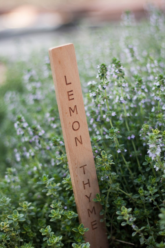Garden plant label stakes engraved custom wooden set plant