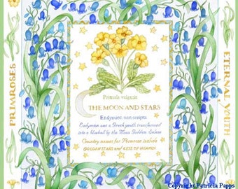 The Language of Flowers Bluebells and Primroses