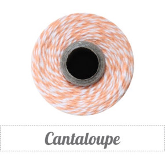Cantaloupe Twine - Peach Bakers Twine, by the yard, 100% cotton, 4 ply, full spool, divine twine, gift wrapping, 20 yards, 30 yards, 40 yard Il_570xn