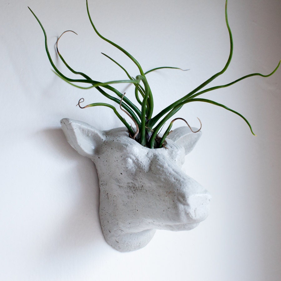 Deer Head Wall Planter Animal Head Wall Planter Concrete