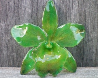 Free Shipping REAL Natural Bold Shades of Emerald Green ORCHID Pin and Pendant
