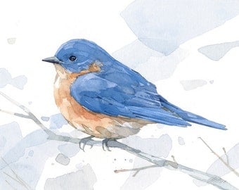 Bluebird watercolor print - woodland painting, bird decor, 5x7