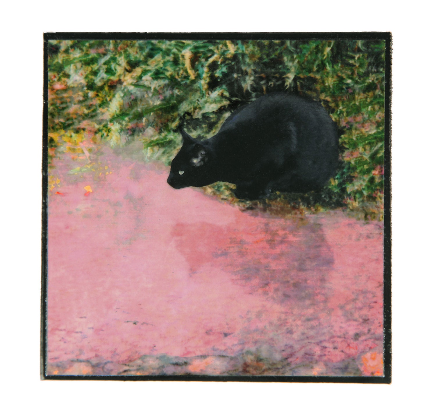 Black Cat Monet 11