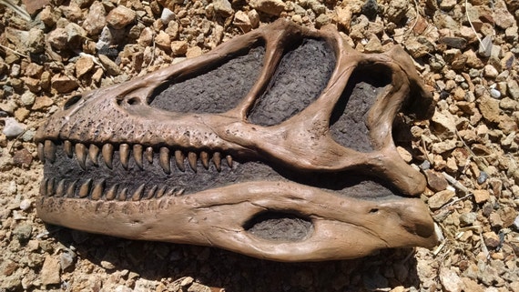 deinonychus fossil for sale