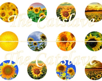 Sunflower Magnets, Sunflower Pins, Sunflowers, Fri Magnets , 1" inch Pins, Buttons, Hollowbacks, 12 ct
