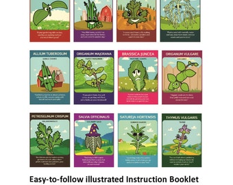 12 different types of 100% USDA Certified Organic Herb Seeds - Culinary Sage, Sweet Basil, Dill Bouquet, Cilantro & more!