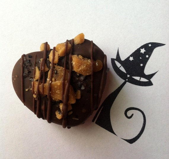Toffee topped gourmet shortbread caramels TWIX