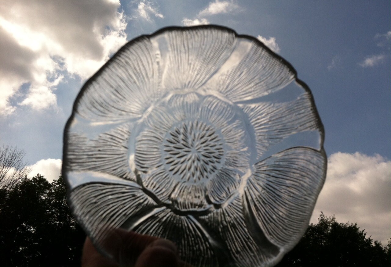 Retro Clear Glass Cabbage Leaf Bowl Set Vintage Soup