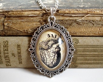 Anatomical Heart Necklace - Antique Anatomy Print Pendant in Silver