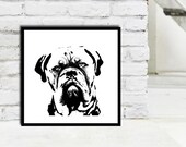 Boxer dog art in black and white photography/pet photography/pet poster/dog fine art print/pet fine art photography
