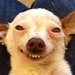 Wanda