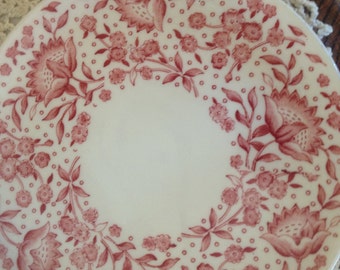 Reserved Rare Vintage Set of (4) Carefree True China by Syracuse "MAYFLOWER" 8" Luncheon Plates, great condition