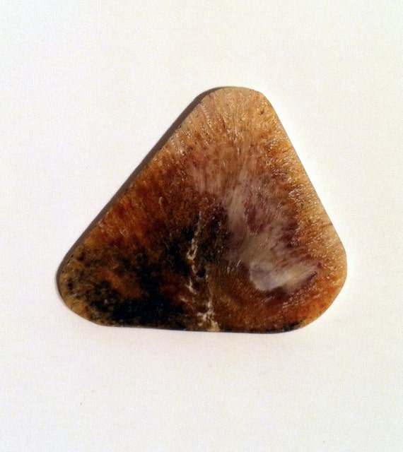 Tortoise Shell Guitar Pick Turtle Shell Guitar by StoneAndWoodGuy