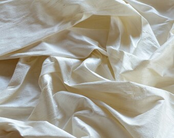 Iridescent Beige/Orange Embroidered Dupioni Silk