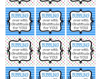 DIY Printable Birthday Teacher Appreciation by sunshinetulipdesign