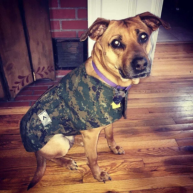 Military Dog Jacket Camoflauge Dog Jacket Dog Clothing Dog