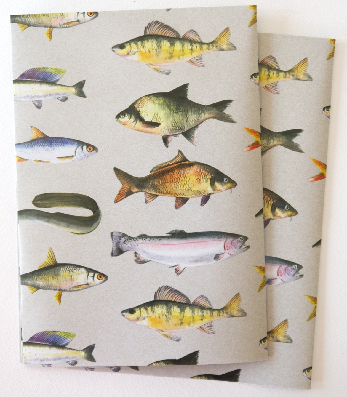 British Fresh Water Fish Gift Wrapping Paper from TheArtyPenguin on