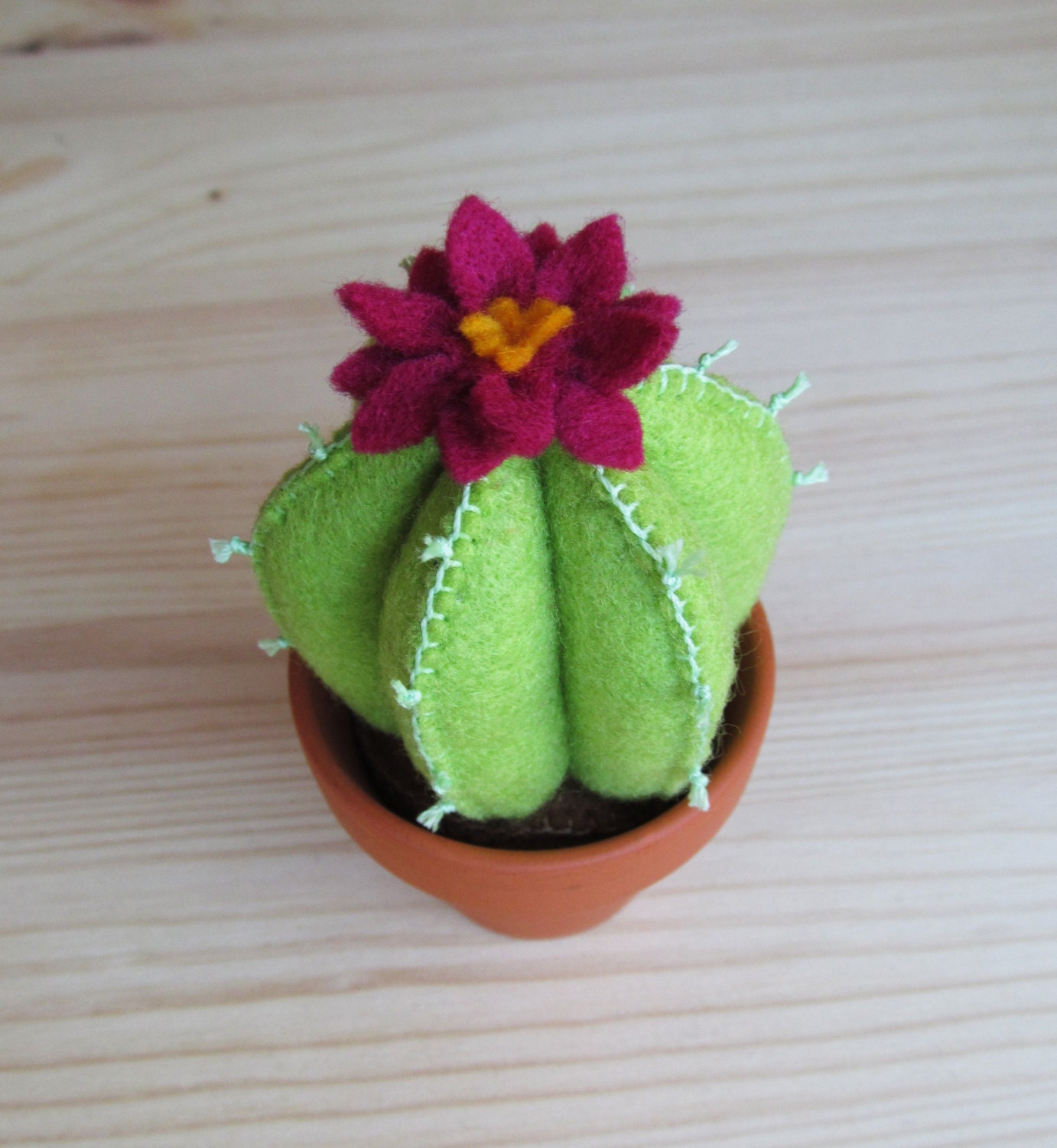 Little Felt Cactus