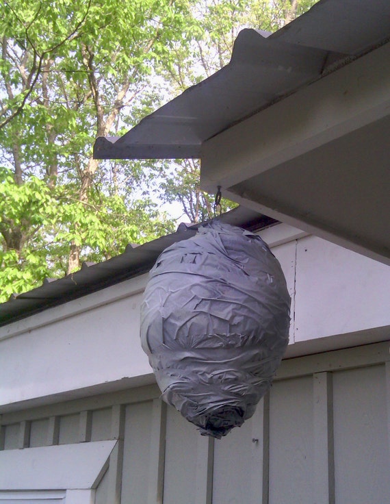 SHOO wasp repellentwasp deterrentwasp nest decoyhouse